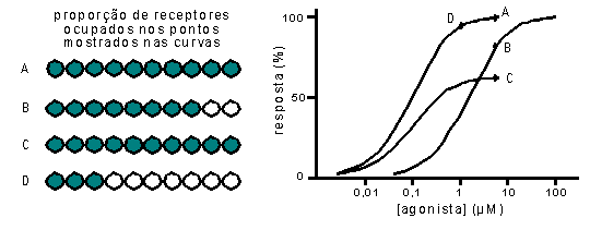 ANTAGONISTAS ADRENÉRGICOS - Farmacologia I